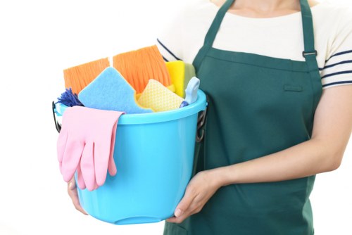 Local cleaner removing stains and odours from a living room sofa