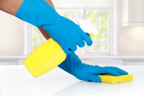 Local domestic cleaning service for homes in Streatham
