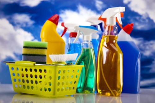Cleaner working in a Streatham flat with period home features