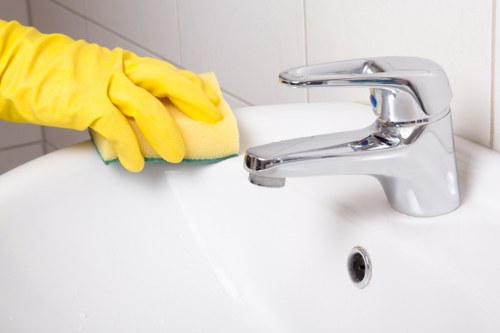 Professional cleaner working on residential windows in Streatham