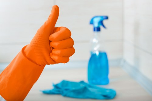 Detailed bathroom and kitchen cleaning during a move out clean in Streatham