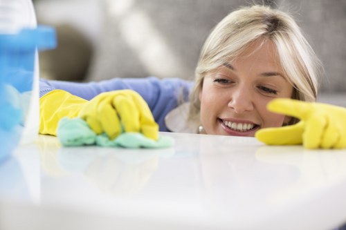Regular domestic cleaning for homes and small businesses in Streatham