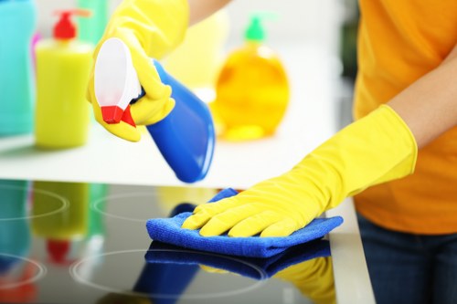 Upholstery cleaning setup for Streatham residential and commercial properties