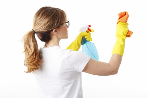 Cleaning equipment prepared for pet stain odour removal in a Streatham flat